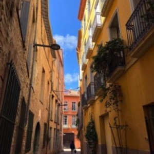 Perpignan, Ille-sur-Têt et Collioure ☀️.#france #city